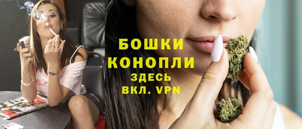 прущий лед Вязьма