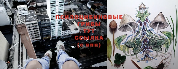 прущий лед Вязьма