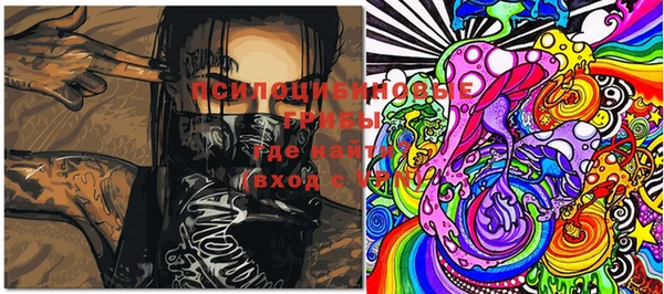прущий лед Вязьма