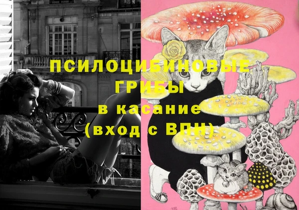 каннабис Вяземский