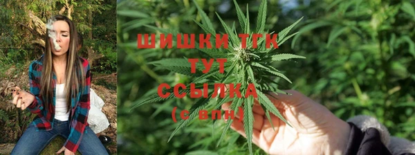 трава Вязники