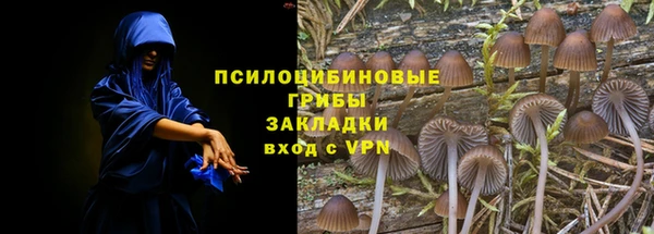 прущий лед Вязьма
